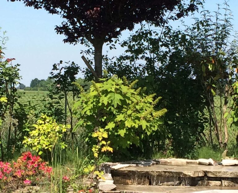 Torricella Italia by theBIOPOOL