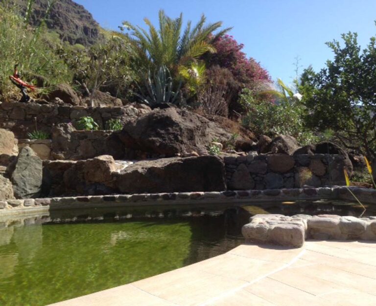 Cran Canaria by theBIOPOOL