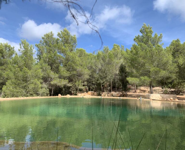 Firepond by theBIOPOOL Fire Pond by theBIOPOOL