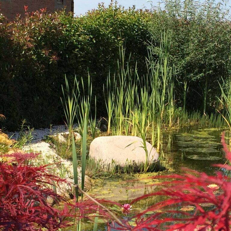 Torricella Italia by theBIOPOOL