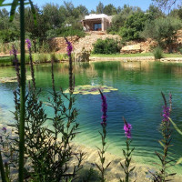 Can l#Amo by theBIOPOOL, Ibiza