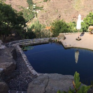 Schwimmteich Gran Canaria