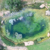 Can l#Amo by theBIOPOOL, Ibiza