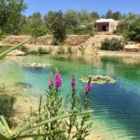 TheBiopool Swimming Pond Ibiza, San Lorenzo