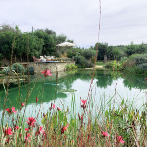 Can Boki by theBIOPOOL Ibiza