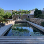 more by theBIOPOOL Ibiza